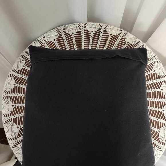 Rag Frog Revival Throw pillow cover Up-cycled from a T-shirt size 16"x16" - Picture 2 of 4